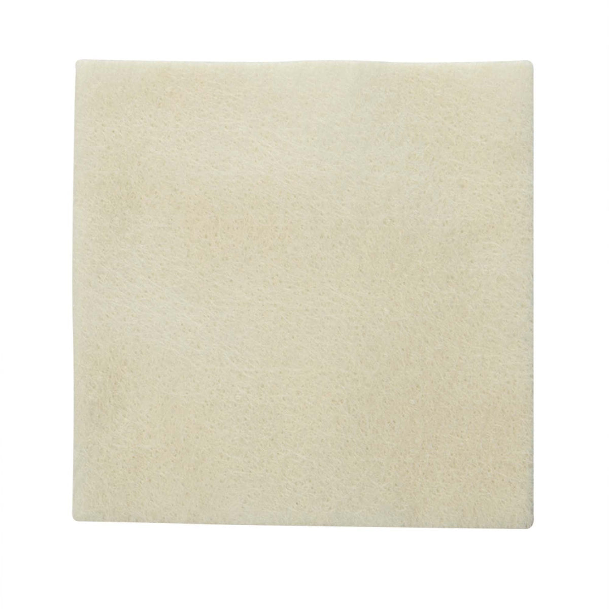 Coloplast Biatain® Alginate Dressing