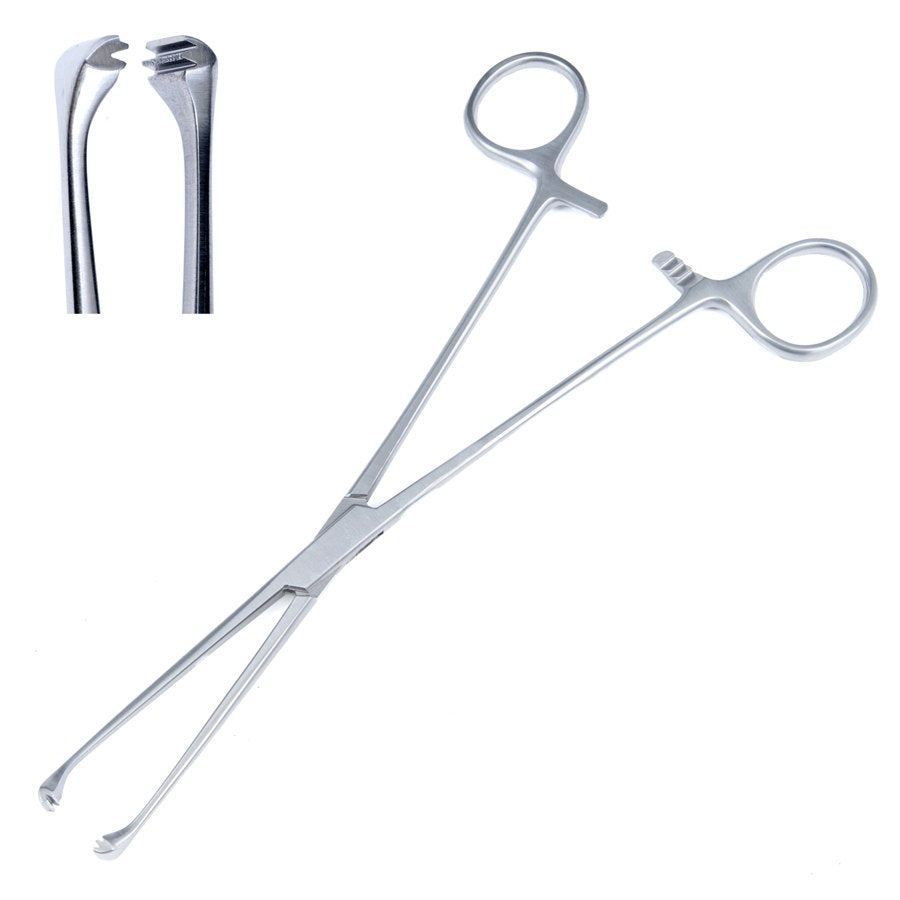 Allis Forceps 6" - 36-2298