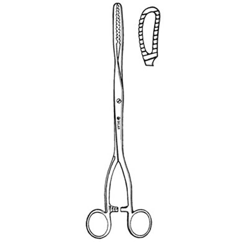 Bierer Ovum Forcep 12 1-2" - 91-3823