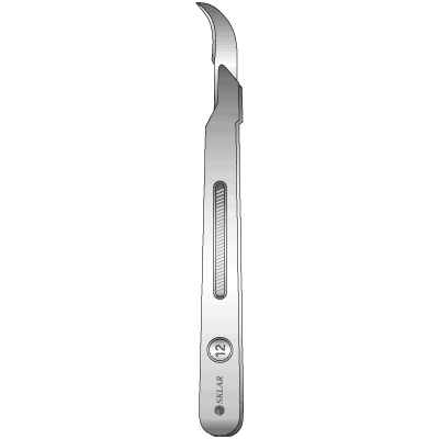 Disposable Scalpel #12 - 06-3112