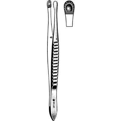Russian Tissue Forceps 8" - 19-2280