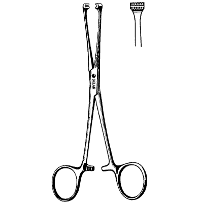 Allis Forceps 6" - 36-2298