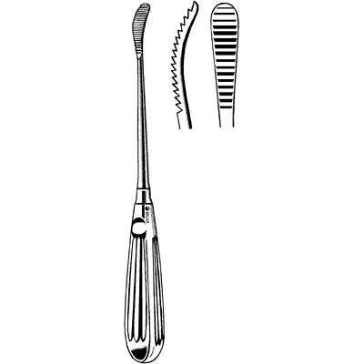 Aufricht Glabellar Rasp 8" - 40-9840