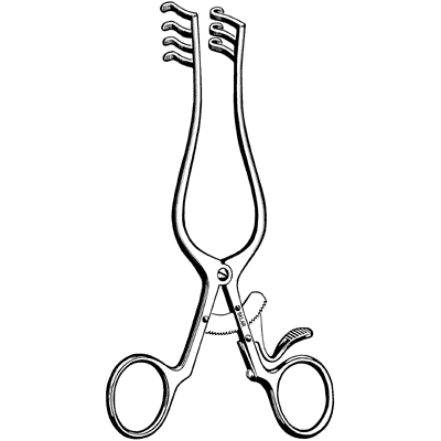 Weitlaner Retractor 6 1-2" - 42-1865