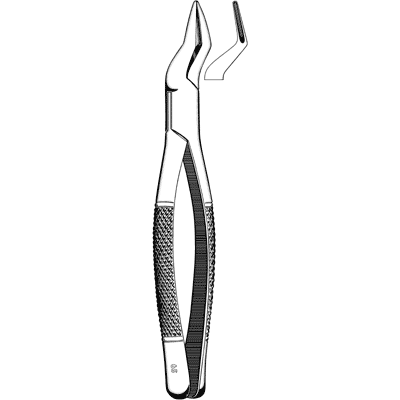 Extracting Forceps #65 - 48-204