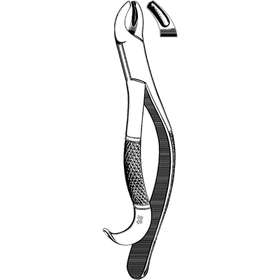 Extracting Forceps #24 - 48-226