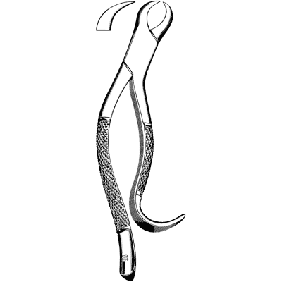Extracting Forceps #16 - 48-264