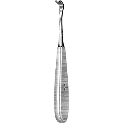 Semb Raspatory 8" - 55-4510