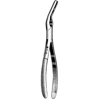 Ash Septum Straightening Forceps 9" - 70-5190