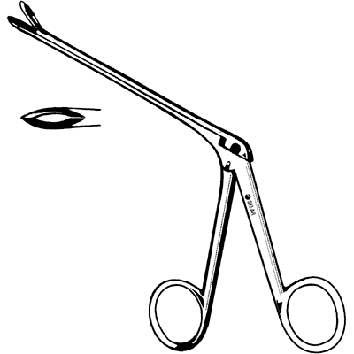 Wilde Ronguer 5 1-2" - 70-5421