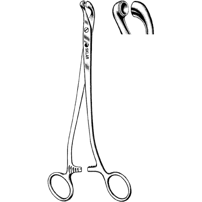 Thomas-Gaylor Bioposy Forceps 9 1-2" - 80-1695