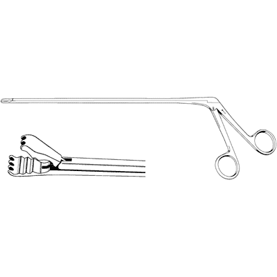 Baron Alligator Grasping Forceps 10" - 80-1940