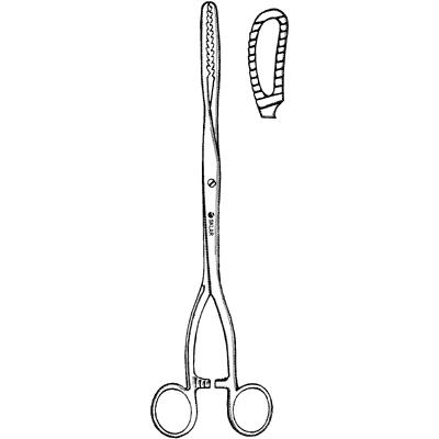Bierer Ovum Forceps 11" - 92-5298