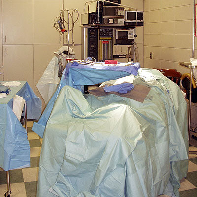 Reinforced Back Table Covers 44" x 83" - 96-1111