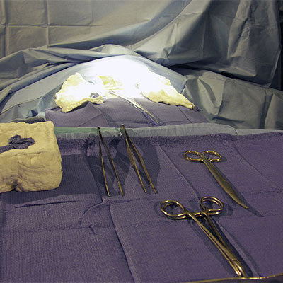 Half Drape Sheets 60" x 44" - 96-5605