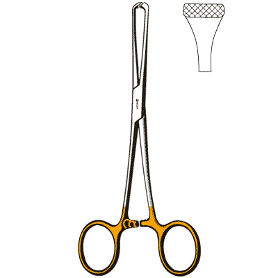 TC Allis Forceps 7 1-2" - 97-1560