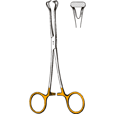 TC Babcock Forceps 8" - 97-1570