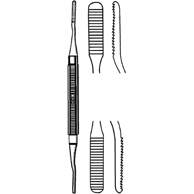 Nail and Bone Rasp 8 1-2" - 97-1645
