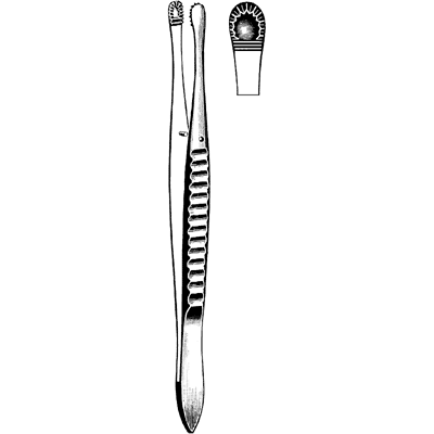 Merit Russian Tissue Forceps 6" - 97-604