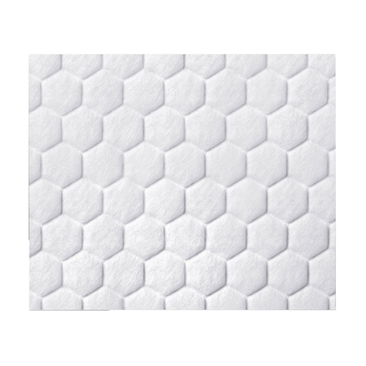 Coloplast Biatain® Fiber Ag Silver Gelling Fiber Dressing