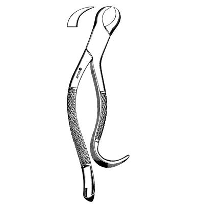 Lower 1st and 2nd Molar Extracting Forcep #16 Hook Handle Horn Beak - 42-792