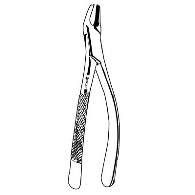 Incisor Bicuspid Extracting Forcep - 42-873