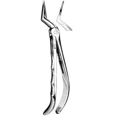 GH Extracting Forceps #GH79 - 42-962