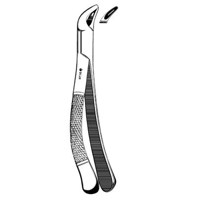 Children's Universal Extracting Forcep #151S Lower - 43-258