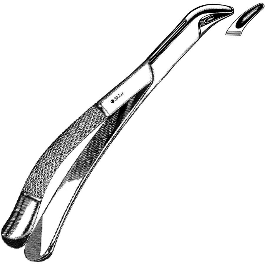 Extracting Forceps #151S Child Lower Universal - 48-375