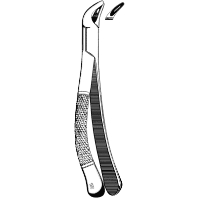 Extracting Forceps #151 Lower Universal - 48-327