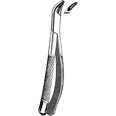 Extracting Forceps #151S Child Lower Universal - 48-375